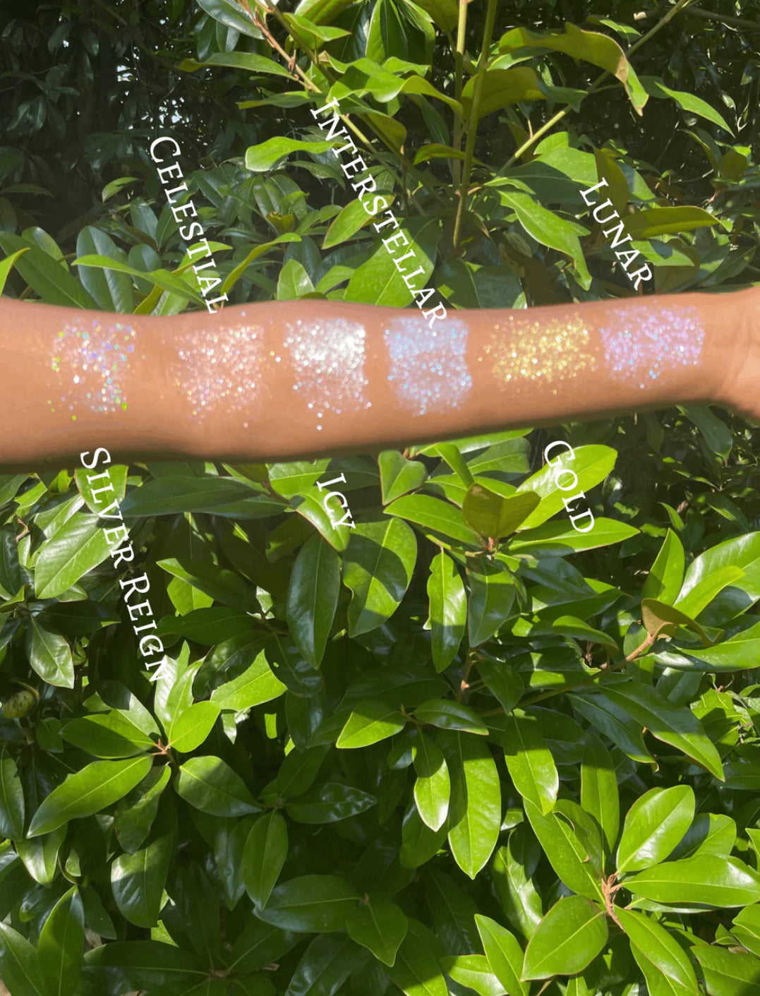 Limited Orphic Glowing Shimmer Dry Oil